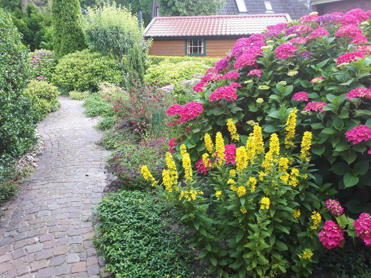Familienurlaub In Ostfriesland Fuer Max 7 Pers In 2 Wohnungen, Auch Einzeln Wohnungen Utarp Dış mekan fotoğraf
